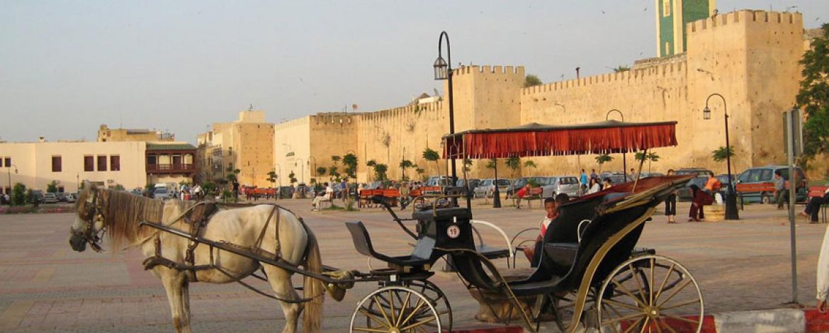 Meknes-Medina-souks-04